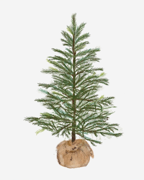BURLAP TREE - Note Card