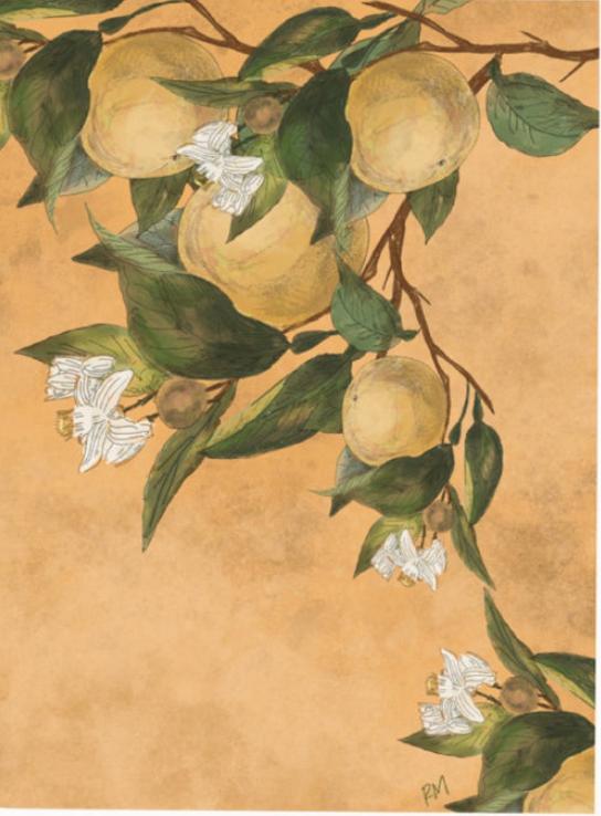 ORANGES - Note Card