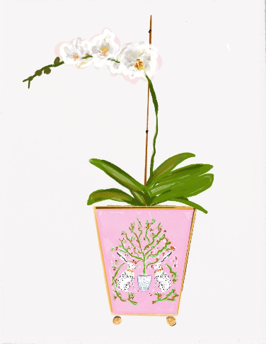 Orchid PICK ONE - Note Card
