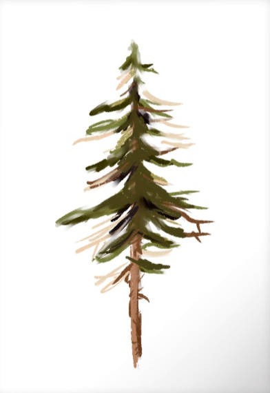 SIMPLE PINE TREE - Note Card
