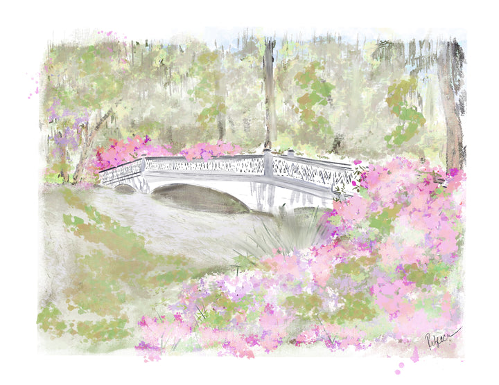 MAGNOLIA GARDEN & PLANTATION - Art Print