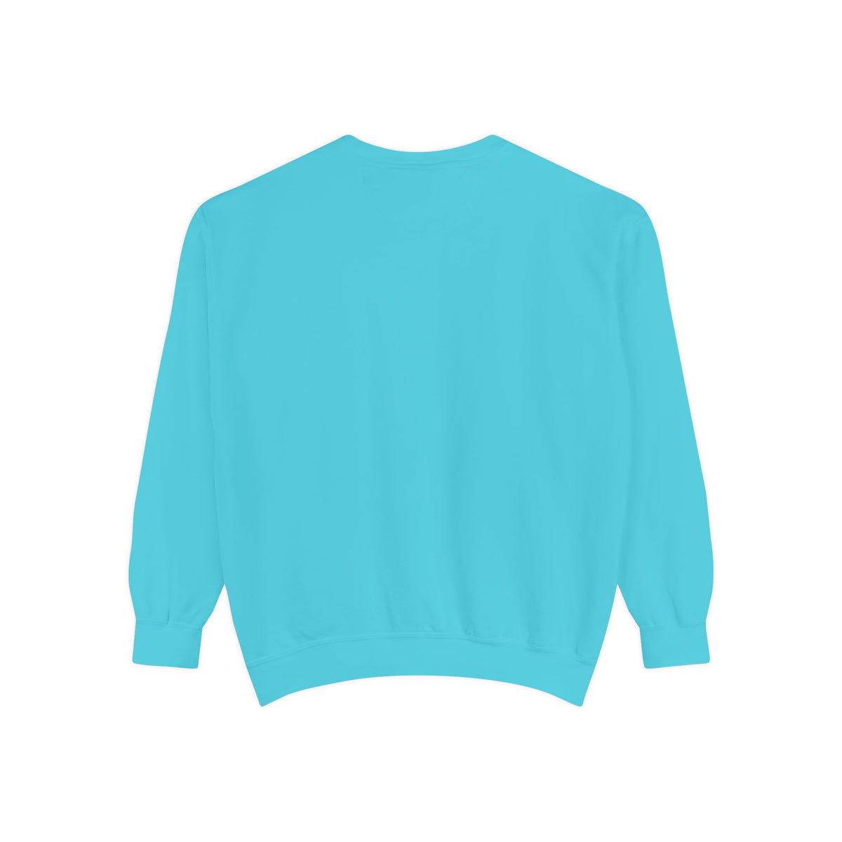 NO PLACE LIKE HOME CHARLESTON-Comfort Colors Crewneck