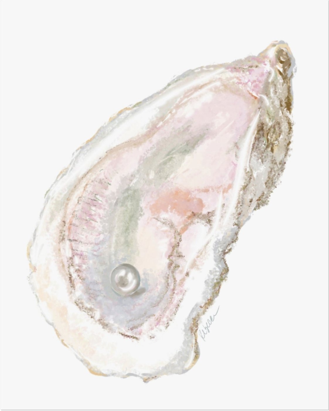 Illustrated oyster shell with a pearl greeting card in soft neutral tones, coastal artwork by Rebecca Illustrated.
