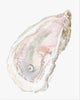 Illustrated oyster shell with a pearl greeting card in soft neutral tones, coastal artwork by Rebecca Illustrated.