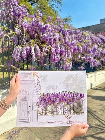 WISTERIA IN SPRING- ART PRINT