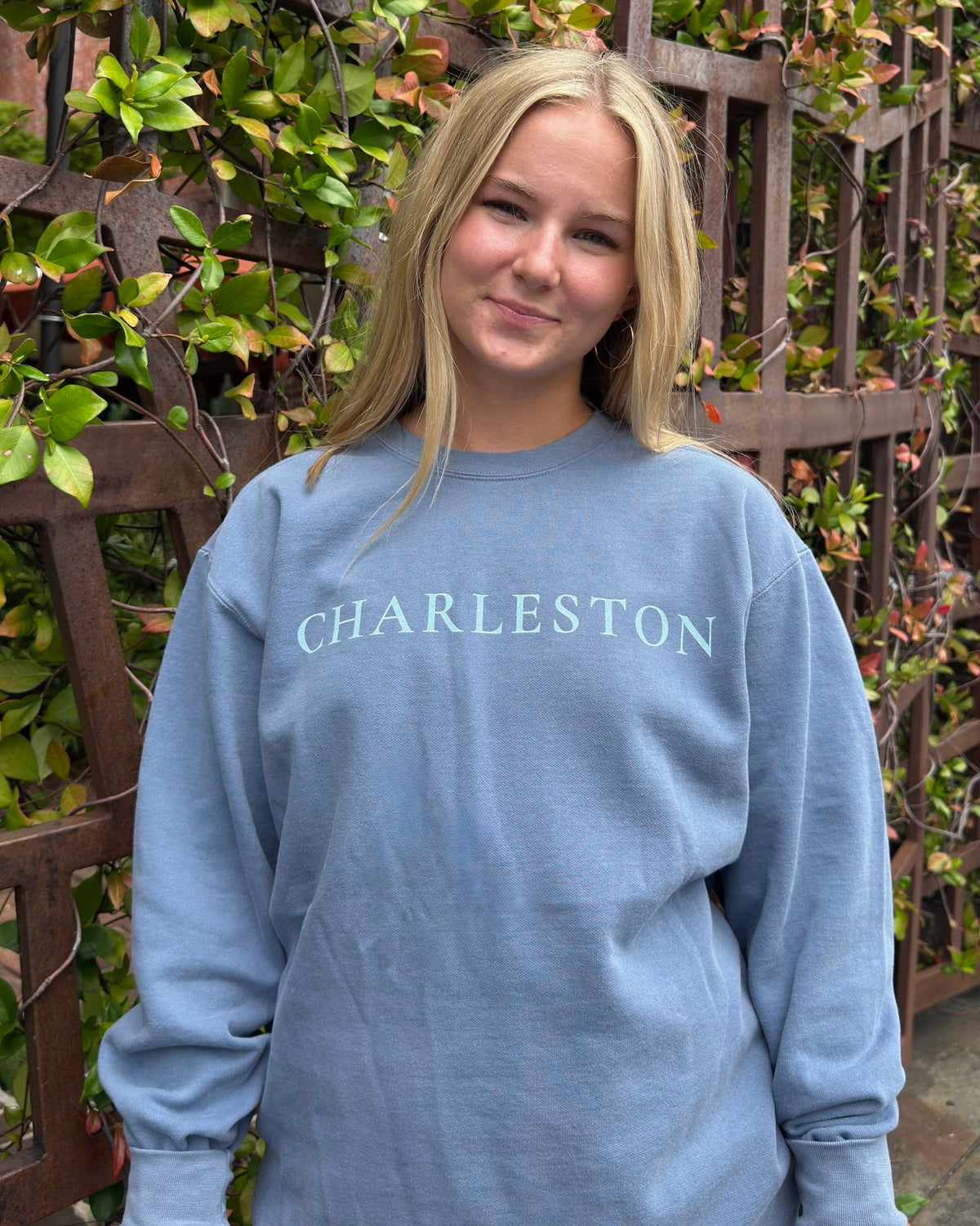 TWO TONED-CHARLESTON SKYLINE-Comfort Colors Crewneck