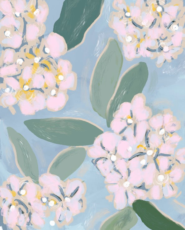 BLUSH HYDRANGEAS-Art Print