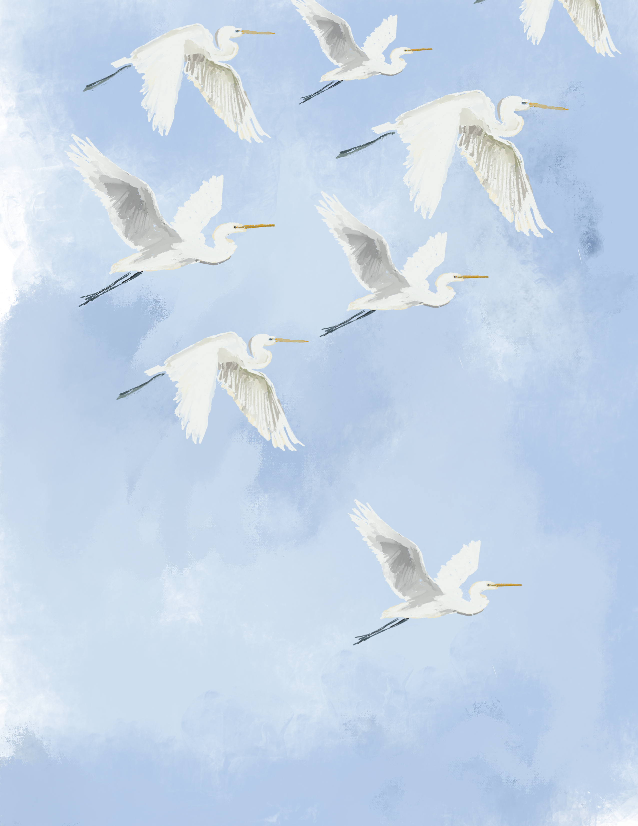 HERONS -Art Print