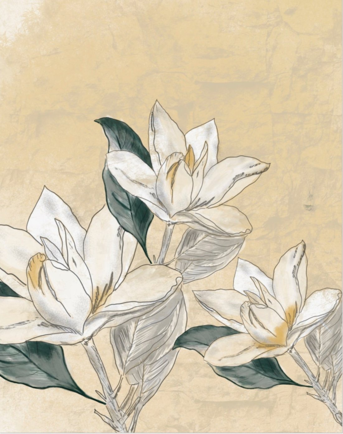 Botanical illustration of three magnolia flowers with green leaves on a textured beige background by Rebecca Illustrated.