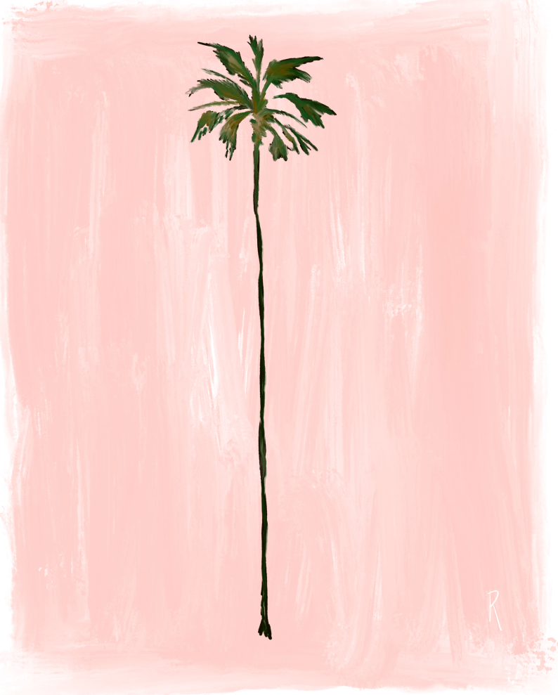 PEACH PALM- Art Print