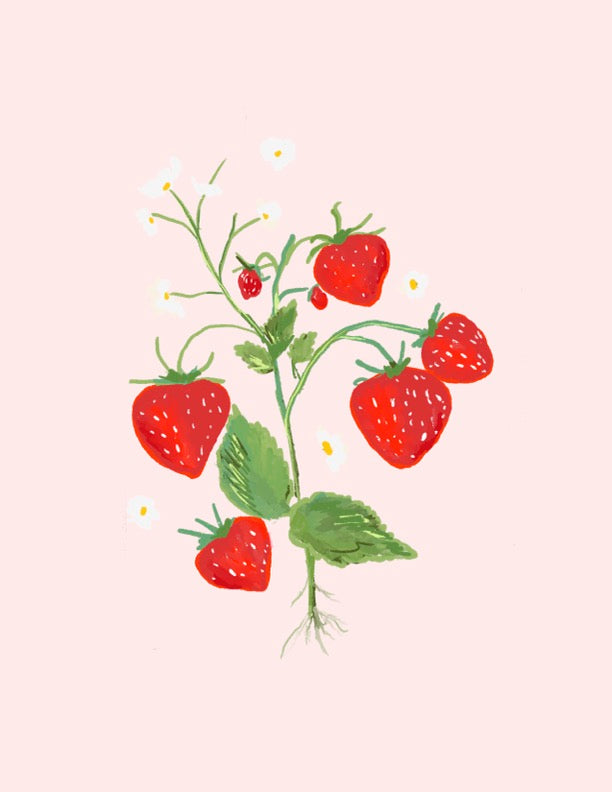 LA FRAISE - Art Print