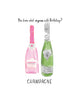 Illustrated champagne birthday greeting card featuring two bottles with the text “You know what rhymes with Birthday? Champagne” by Rebecca Illustrated