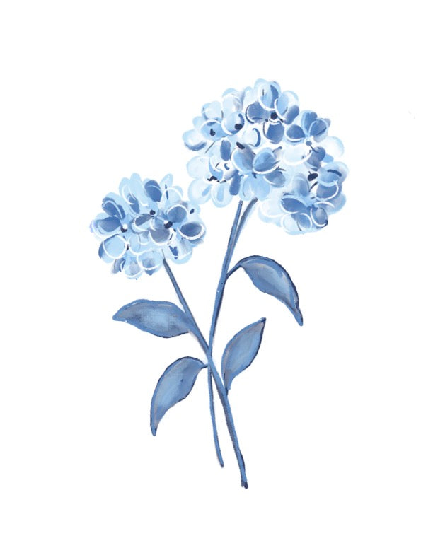 Cobalt Hydrangea watercolor illustration in blue tones – botanical floral art by Rebecca Illustrated.