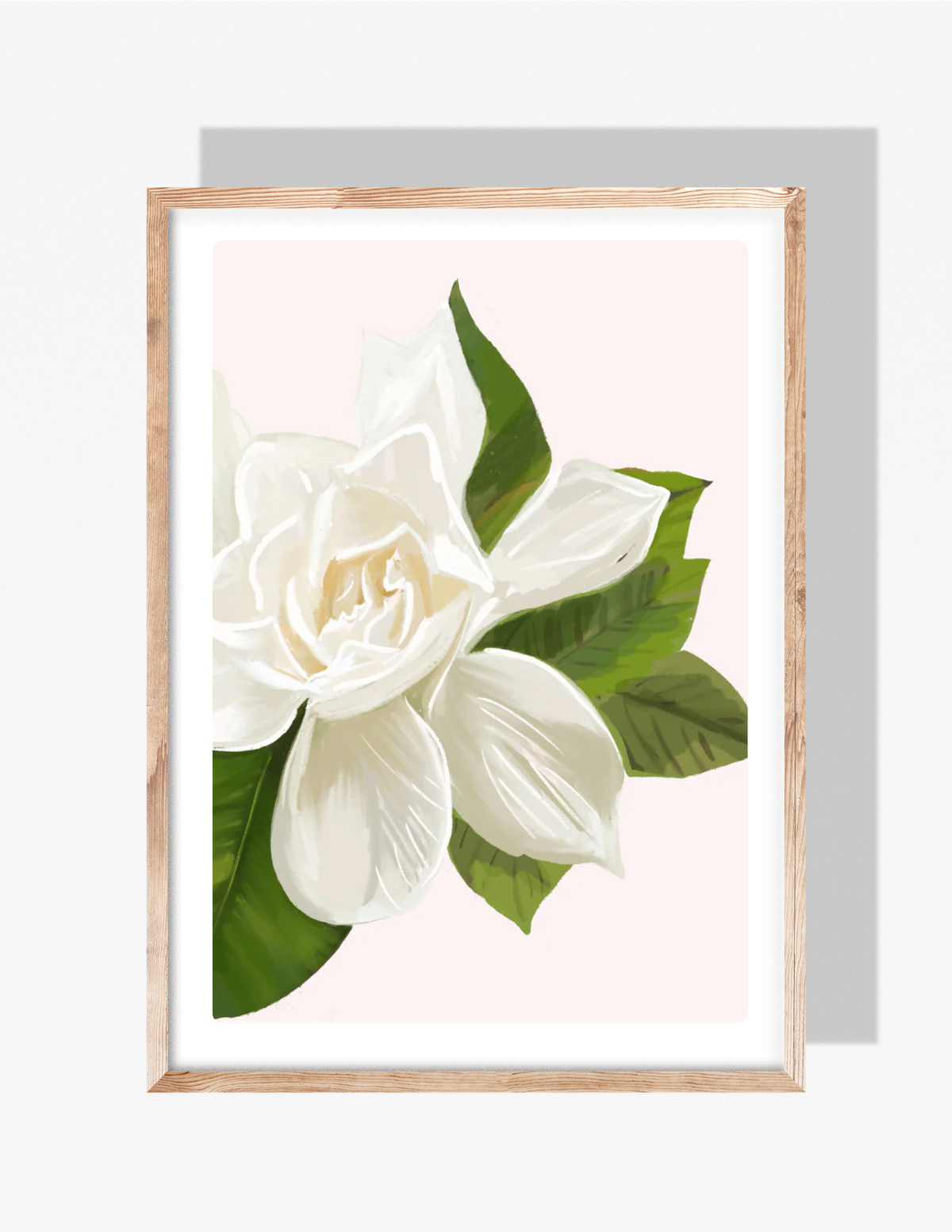 White gardenia flower illustration with green leaves on soft pink background — artwork by Rebecca Illustrated