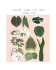 YOU'RE UN-BE-LEAF-ABLE - Note Card