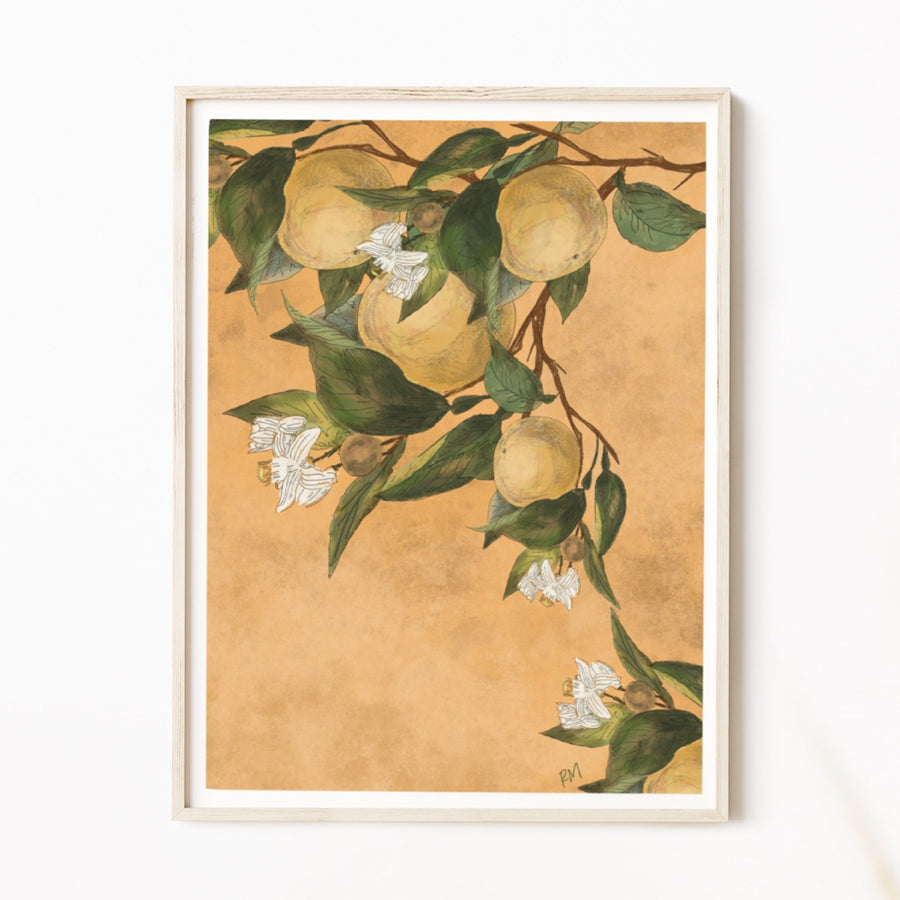 Illustration of lemons and white blossoms on leafy branches over a warm textured background — artwork by Rebecca Illustrated